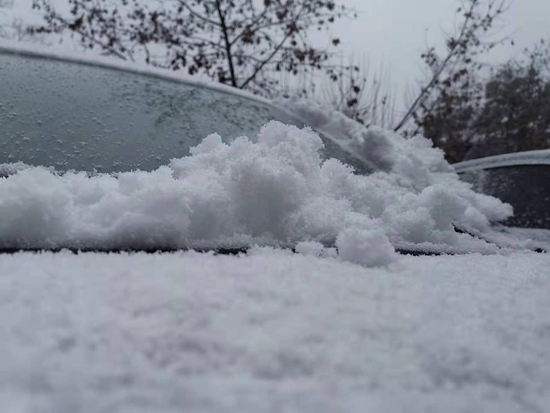 都江堰下雪啦（来源锦观）