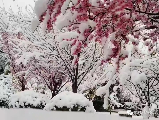 攀枝花雪景 图据攀枝花气象