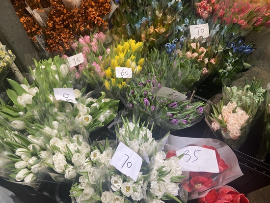 3月4日,萬福花市