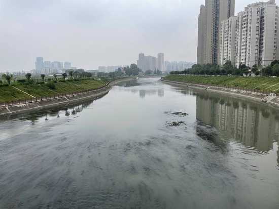 河道下游水流湍急 水草缠绕