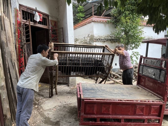 陳某涉嫌非法飼養的黑熊被轉運至附近正規養殖場暫養。