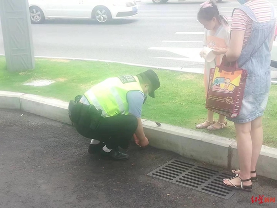 小女孩发现两只幼鸟报警求助