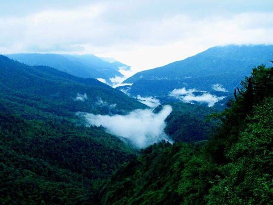 　麻咪泽省级自然保护区（图片提供：雷波县人民政府官网）
