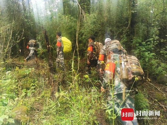 护林员、监测员进山