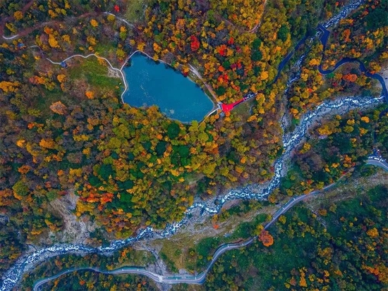 天全喇叭河景区秋叶（图据二郎山喇叭河景区）