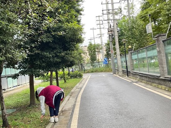 同学们维护草丛环境