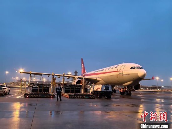 　4月3日晚，搭载旅韩大熊猫“福宝”的3U9680航班降落在成都双流国际机场。　中新社记者 安源 摄