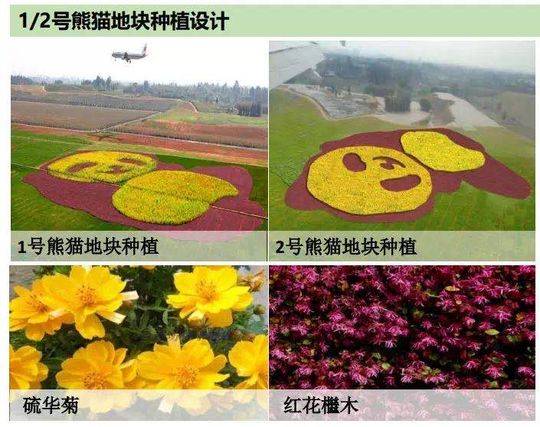 图据双流发布