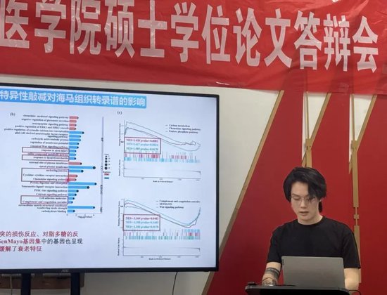 罗路南