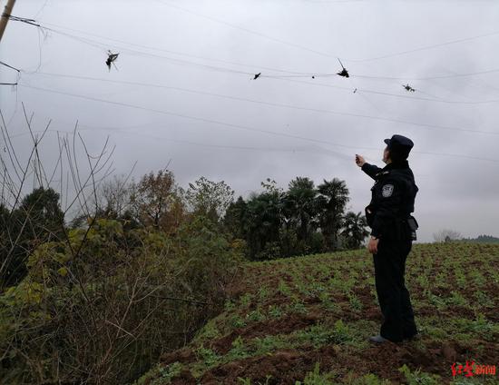 　巡护人员发现捕鸟网