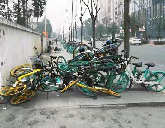 金周路美團單車、青桔單車、哈啰單車倒伏、占用盲道亂停放。