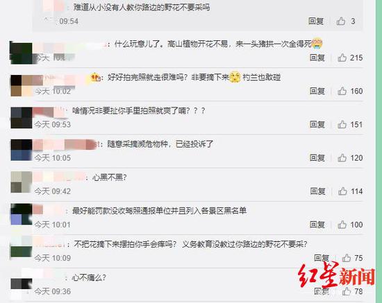 ↑网友评论截图