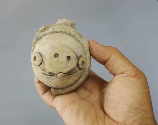 3200年前的陶猪,憨态可掬