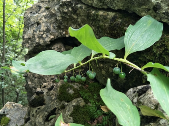 易思荣 摄