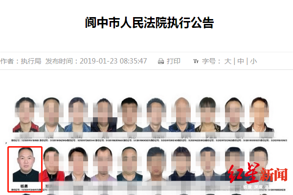 ↑阆中市人民法院执行公告截图。