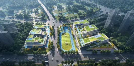 ▲ 图为银杏东小学项目