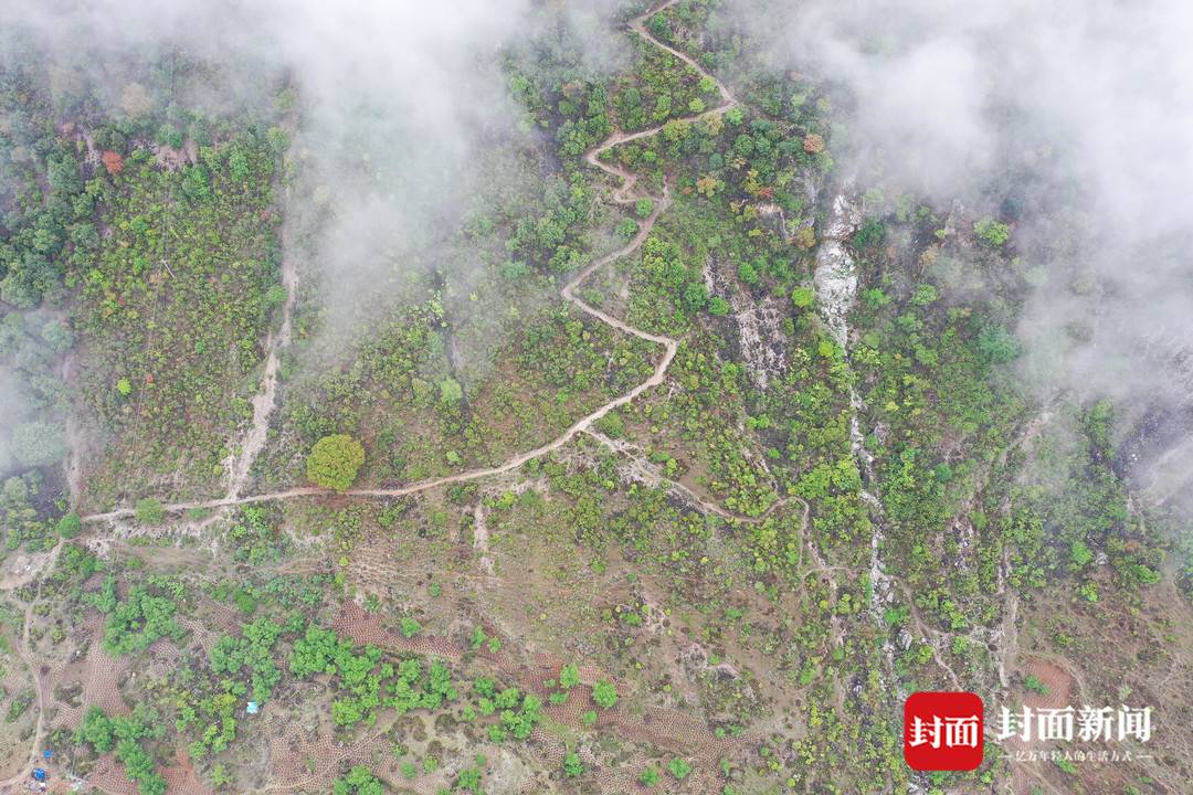 阿布洛哈村的老路