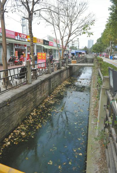 2月17日,成都国槐街的两条水渠又脏又臭。