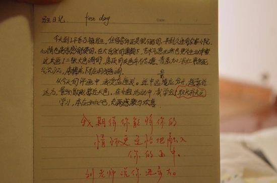 成都市礼仪职业中学学生四川省美术联考中取得