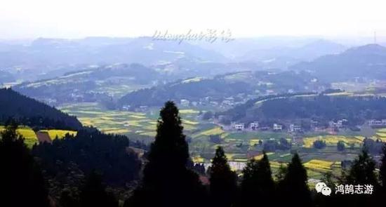 四川盆地海拔在900米适合种什么果树?