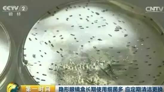 隐形眼镜有病菌了怎么办,隐形眼镜有病菌了怎么办啊