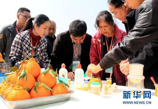 　　利用“互联网+”，丹棱县“不知火”脐橙打响了品牌。