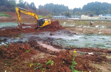遂宁猪场污染环境被查 拆除猪场连污染的土也
