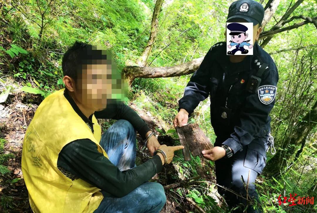 民警拆除嫌疑人在林中安装的陷阱