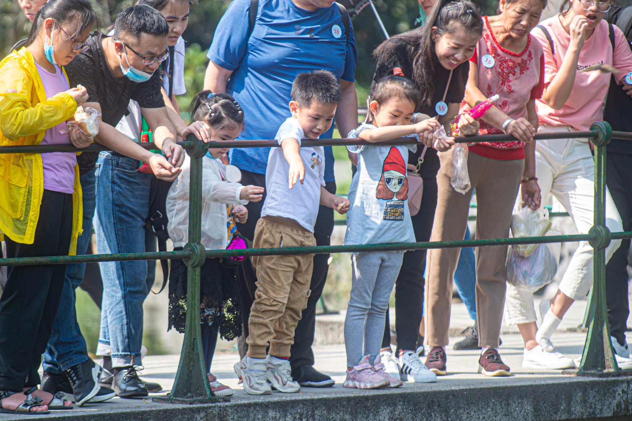10月1日，小朋友们在杭州西湖花港观鱼景区喂鱼。新华社发（江汉摄）