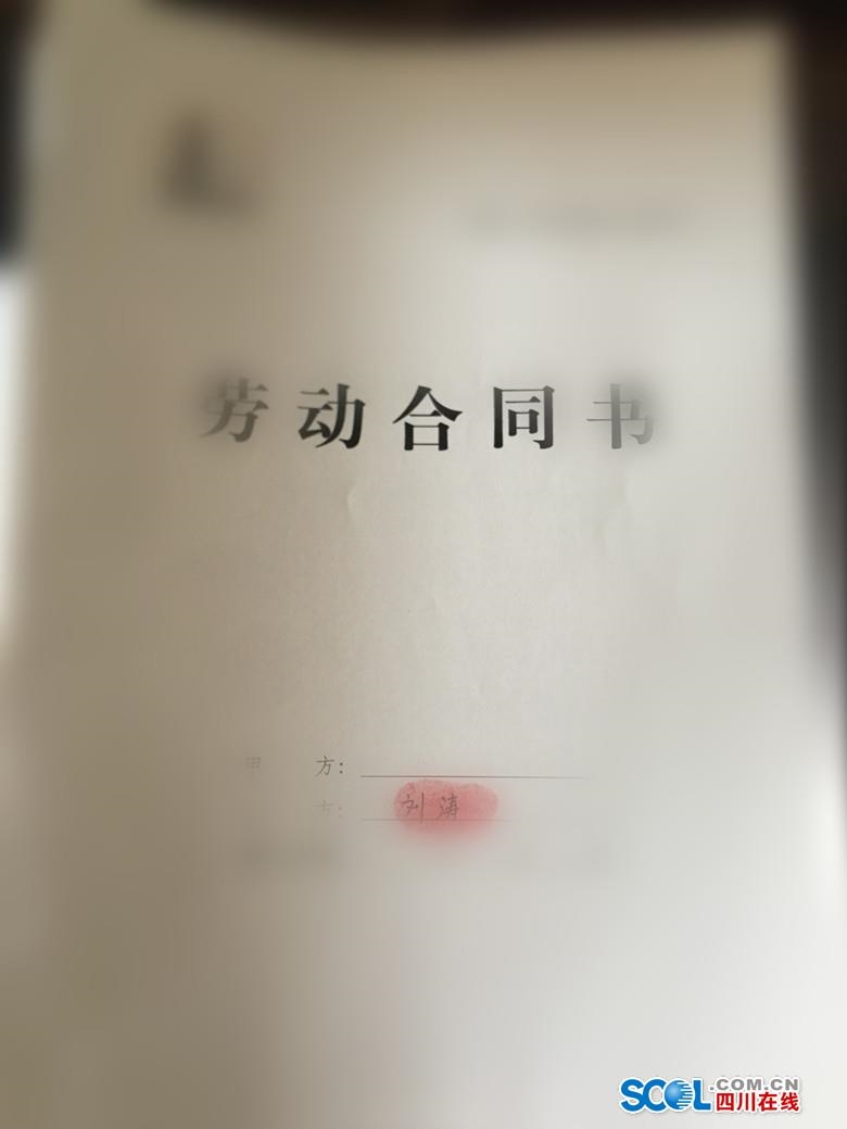 (伪造的合同)