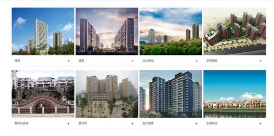 成都城投置地部分项目展示