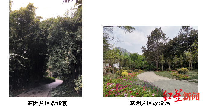 百花潭公园改造前后对比