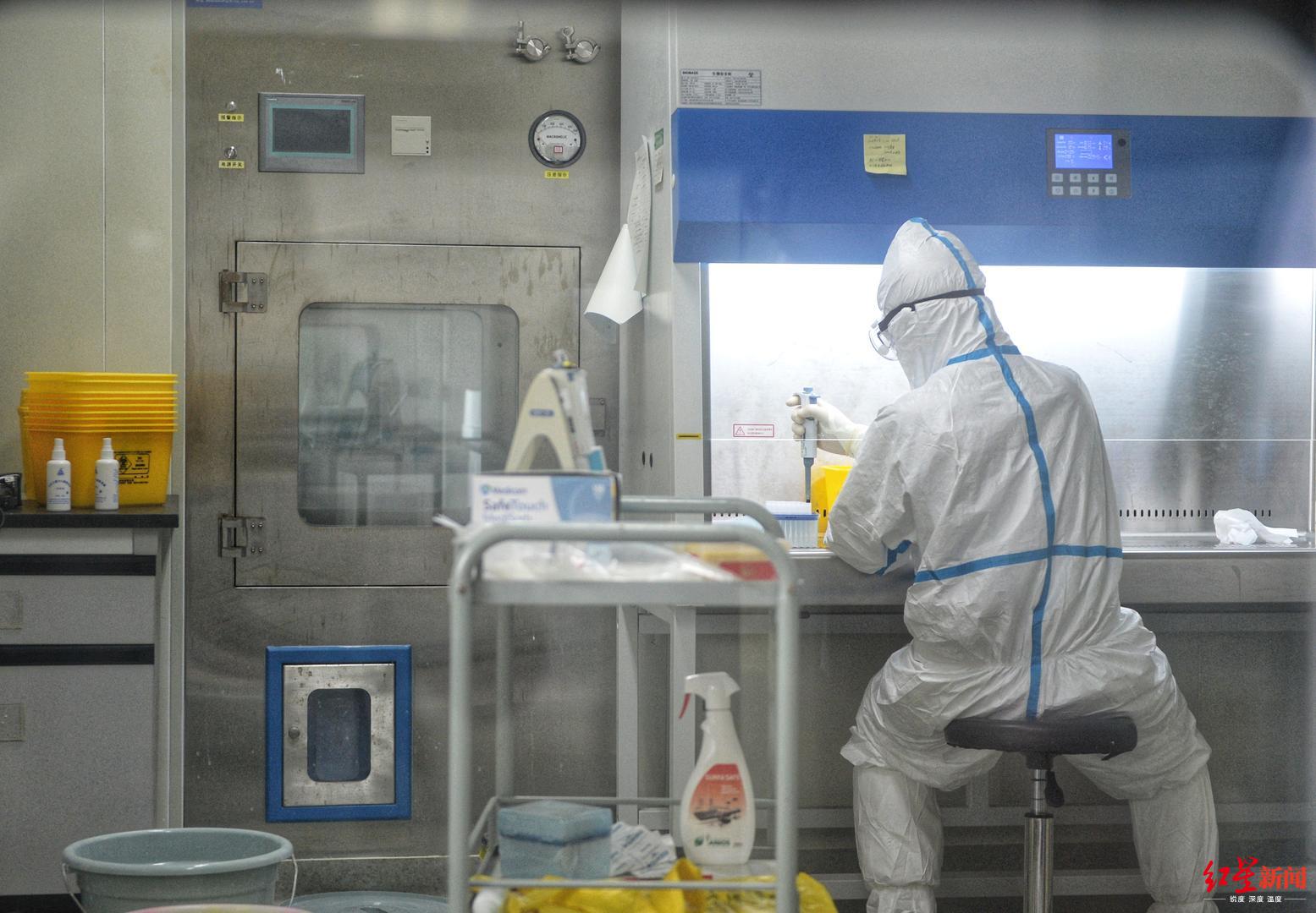 ↑核酸检测员在实验室提取当日采集样本