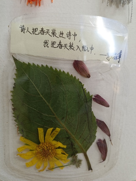 透明书签制作:定格诗意