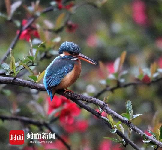 拍鸟镜头能拍人吗 12f8-hwsffzc8710054.jpg