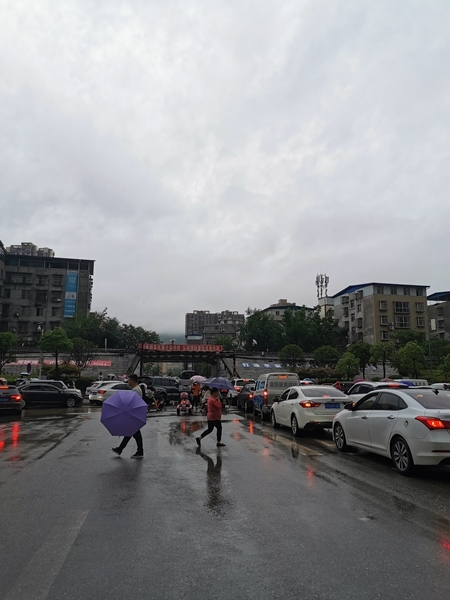 图片 李霞