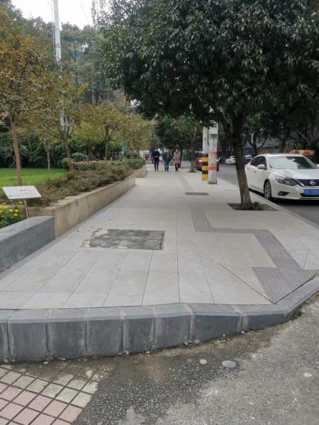 紫薇東路附近盲道整治后 成都高新區(qū)生態(tài)環(huán)境和城市管理局供圖