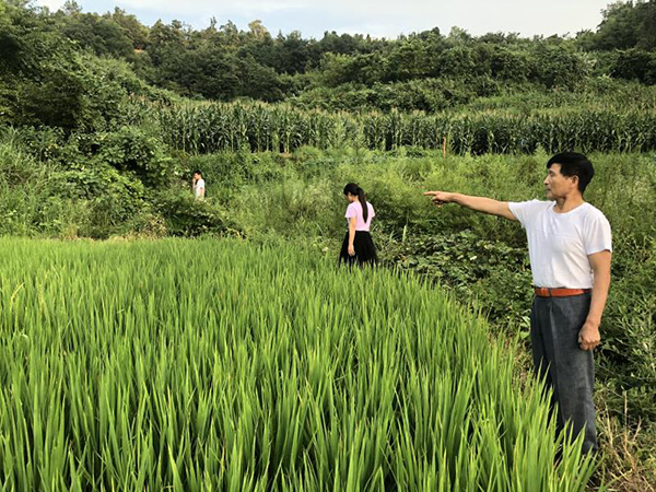 凶杀案发现场