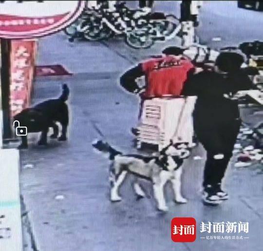 監控拍下男子偷走哈士奇的一幕。