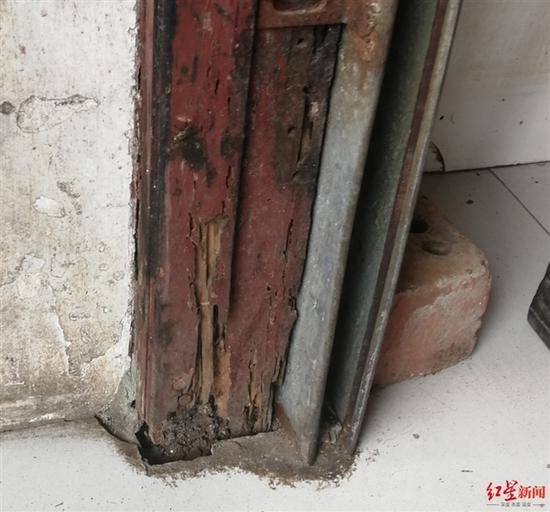 ↑洛帶古鎮被白蟻侵害的建筑物
