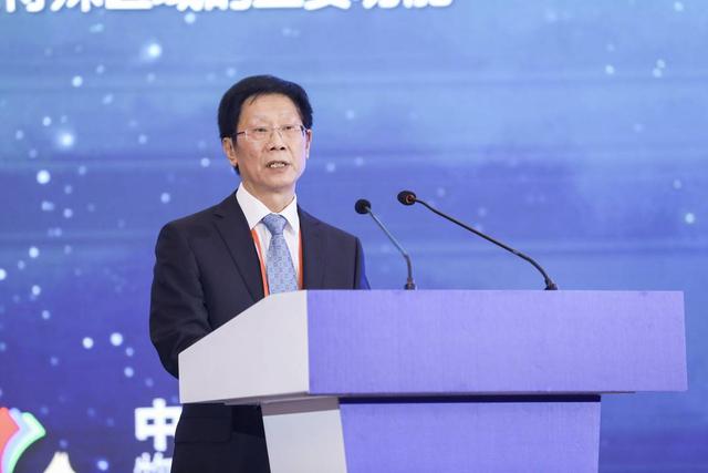 中国保税区出口加工区协会副会长兼秘书长蒲少伟