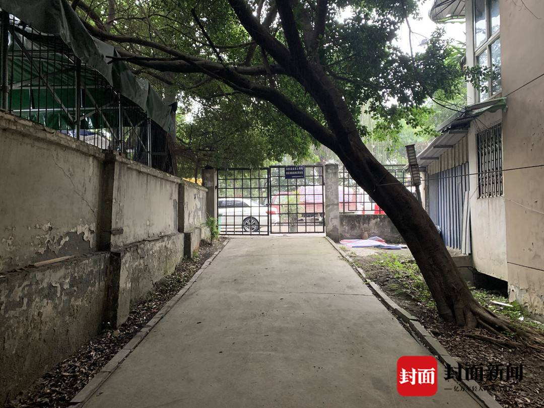 小區消防通道旁的樹傾斜到路中央