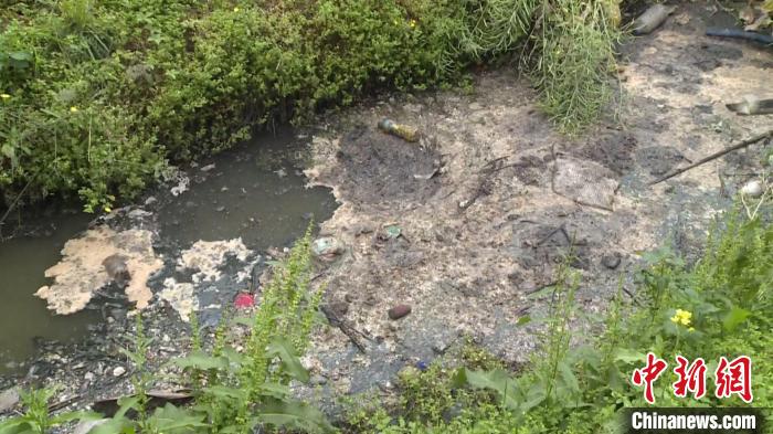 成都市雙流區老鰱魚洞U型渠漂浮大量油污、生活垃圾,水體黑臭。四川省生態環境廳供圖