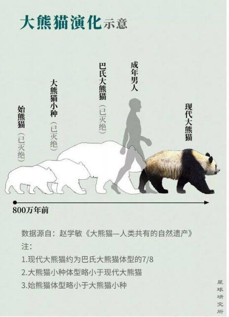 北至北京周口店,南至越南、缅甸,都遍布我的足迹,那是属于我的盛世之国。