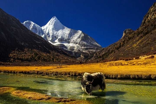 ӳ桰һչ ĴӴο4322.87˴