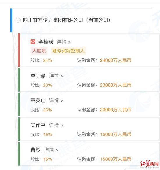 　　↑宜宾伊力集团股东结构。