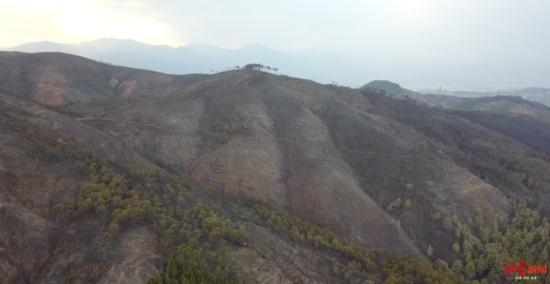 ↑遭遇火災后的瀘山航拍