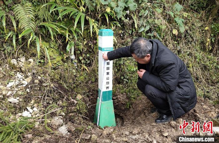 大熊猫国家公园眉山片区瓦屋山区域埋设界桩现场。　洪雅县委宣传部供图