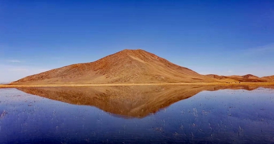 若尔盖湿地一景。（省林草局供图）