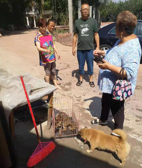 救助豹貓